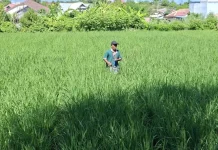 Sumbawa menuju UCJ, 26 Ribu Pekerja Informal Dilindungi