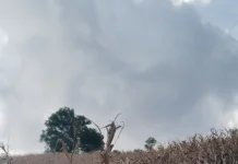 Bima Dompu : Hujan Ringan Dibeberapa Wilayah Kecamatan