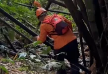 Wanita yang Hilang Saat Cari Daun Pisang di Gangga Ditemukan Selamat Sejauh 4 KM