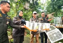 Balai Karantina NTB Lepas 1.392 Ekor Burung ke Habitat Asli di TWA Suranadi