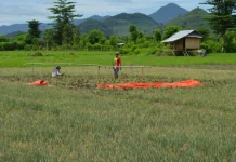 Harga Minyak Goreng dan Beras di Dompu Masih Aman