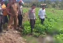 Polsek Bolo Ungkap Kasus Pembunuhan Remaja di Desa Tambe