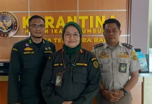 Lonjakan Pengiriman Ribuan Sapi NTB ke Jabodetabek Dipantau Ketat BKHIT NTB