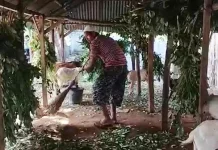 Pastikan Hewan Kurban Dompu Aman