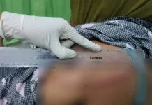 Istri Cekcok, Guru SD Tebas Dua Tetangganya
