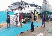 Petani Jagung di Bima Rasakan Keuntungan