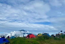 Camping Seru Jadi Cara Menikmati Alam Lebih Dekat