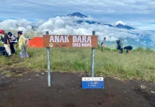 Pesona Bukit Anak Dara Masuk Jalur Tujuh Summit