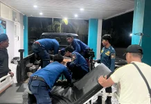 Menuju Evakuasi Sarang Tawon, Tim Damkarmat Lotim Bantu Korban Kecelakaan