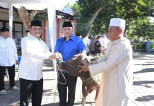 Keikhlasan Polda NTB: Saat Daging Kurban Menjadi Jembatan Kedekatan dengan Rakyat