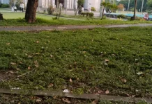 Makna Iduladha: Momentum Peduli dan Berbagi kepada Sesama