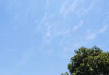 Cuaca Cerah Berawan Wilayah Bima-Dompu