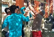 SMKN 3 Mataram Sembelih 1 Sapi dan 5 Kambing dalam Giat Tarbiyah Shodaqoh Qurban