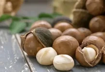 "Kacang Macadamia Viral, Camilan Premium yang Kaya Manfaat Kesehatan"