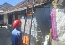 Damkarmat Lombok Timur Evakuasi Sarang Tawon Resahkan Warga di Sikur