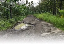 Setelah Lama Dikeluhkan Warga, Ruas Jalan Leong Barat Masuk Prioritas Pembangunan
