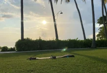 Manfaat Berlatih Yoga di Tepi Pantai