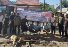 Kami Bantu Salurkan Kurban Perdana di Desa Sangiang Wera
