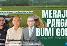 Lombok Utara Potensi Pertanian Kakao Ekspor