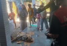 Damkarmat Lombok Timur Evakuasi Monyet Diduga Keracunan