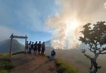 Bukit Savana Propok di Kawasan Rinjani Terbakar