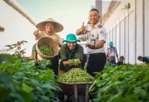 Panen Edamame Lapas Lombok Barat Targetkan Hasil hingga Tiga Ton