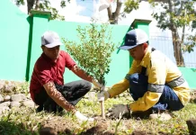 Kontribusi Nyata STM, dalam Menjaga Kelestarian Hutan