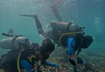 Innit Lombok dan Indonesia Biru Foundation Pulihkan Terumbu Karang Teluk Ekas