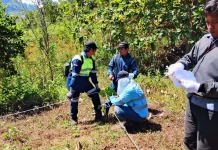Rehabilitasi Lahan PT AMNT di Lunyuk Berjalan Baik