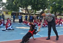 K9 hingga Kuda Polisi Curi Perhatian Siswa Sekolah Rakyat di Polda NTB