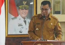 Tanam Jagung di Lahan Pribadi Tidak Dilarang
