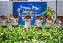 Budidaya Edamame Lapas Lombok Barat Tunjukkan Hasil Membanggakan