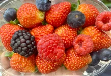 Aneka Berry Segar Kaya Vitamin dan Antioksidan