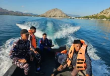 SAR Gabungan Cari Penumpang KMP Belida yang Melompat ke Laut