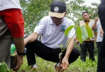 Hari Lingkungan Hidup 2026, NTB Dorong Aksi Nyata Atasi Krisis Iklim