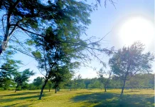 Waspada Heatstroke di Musim Kemarau, Kenali Gejala dan Cara Mencegahnya