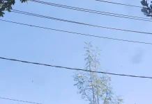 Cuaca Bima Dompu Berawan