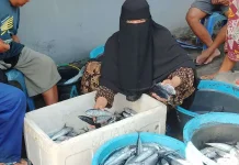 Bantuan Alat Tangkap Diprioritaskan untuk Dongkrak Produksi Tongkol