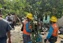 Berugak Warga di Sigerongan Terbakar, Polisi Turun Amankan Lokasi