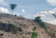 Peringatan Kondisi Cuaca Selama Musim Kemarau