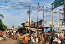 Pertanian Selatan Lombok yang Tepat, Aman, dan Berkelanjutan