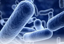 BBPOM Usulkan Pendekatan One Health Jadi Kunci Tekan Resistensi Antibiotik di NTB