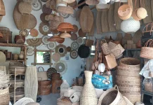 Potensi Tumbuh Kembang Tanaman Bambu di Lombok
