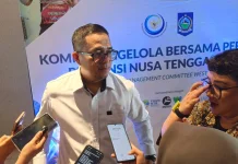 Ekspor Benih Lobster Dihentikan, Nelayan NTB Diminta Budidaya dalam Negeri