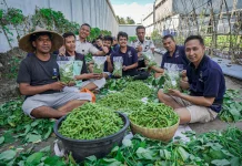 Panen Edamame Lapas Lombok Barat Langsung Ludes Diserbu Pembeli