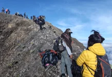 BTNGR Izinkan Tektok Rinjani, Ini Syarat yang Wajib Dipenuhi
