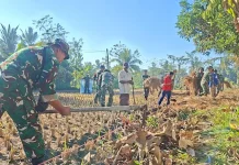 TNI dan Warga Loteng Gotong Royong Buka Jalan Usaha Tani