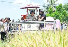 NTB Surplus 348 Ribu Ton Beras di Tengah El Nino