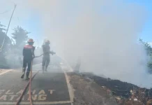 Cuaca Ekstrem Picu Kebakaran Sampah di Sambelia, Damkar Cegah ke Permukiman Warga