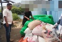 Polisi Ringkus  Pencuri Jagung  di Pelabuhan Bima
